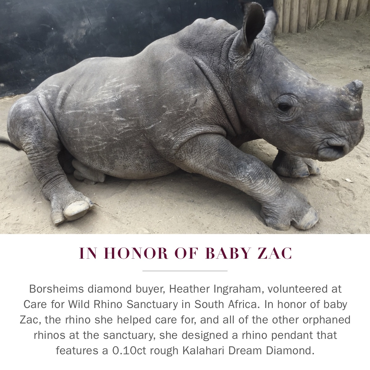 Rhino Pendant Kalahari Dream